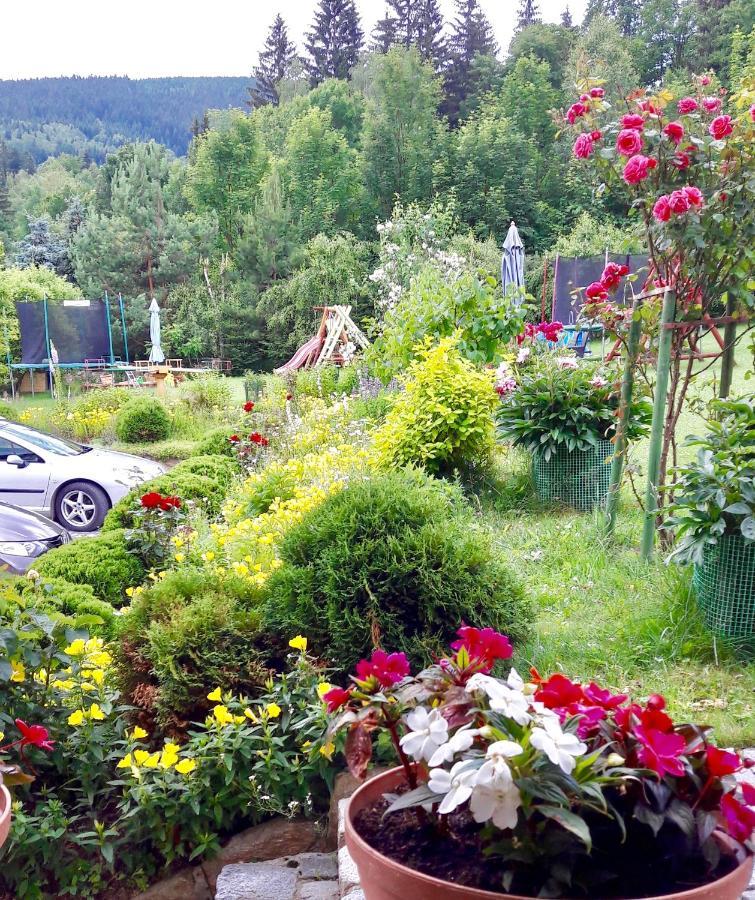 Apartamenty Dom Na Wzgorzu Gardenia Строне-Слёнске Экстерьер фото